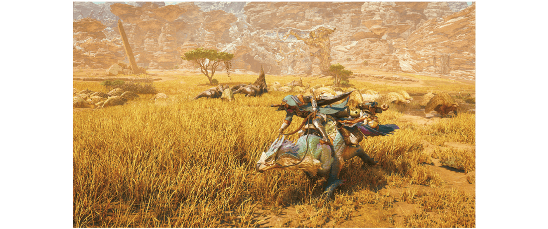 1. Making the most of your Seikret
